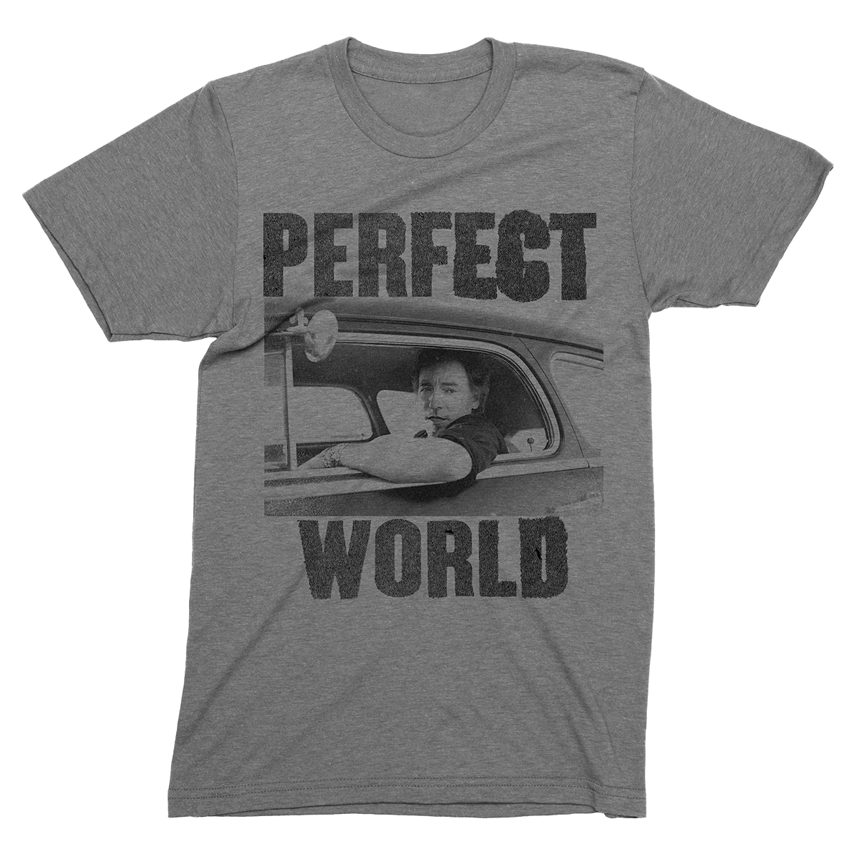 Perfect World Photo Tee